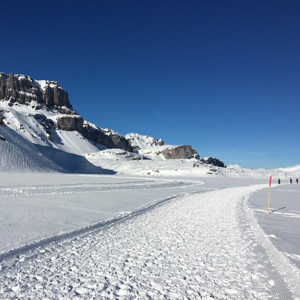 IMG_9638.JPG - Winterwanderweg und Loipe