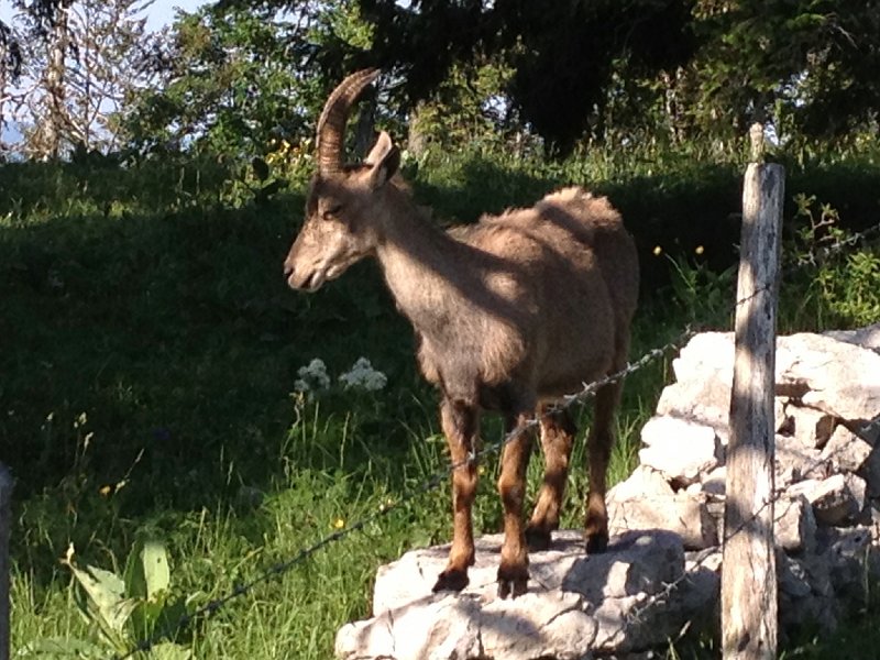 IMG_3590.jpg - immer diese Touristen...