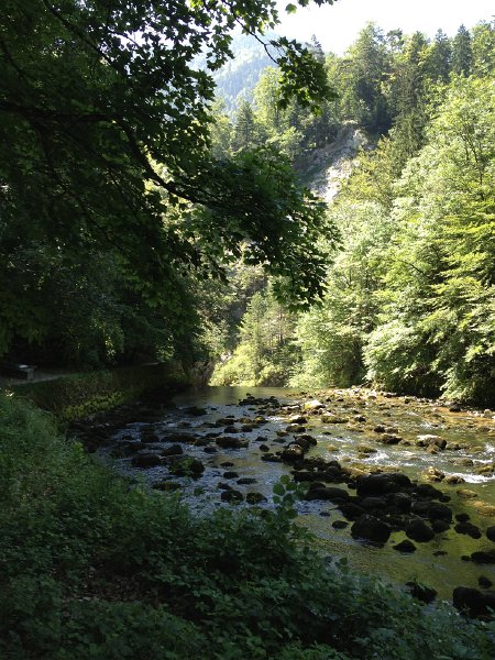 IMG_3551.jpg - Gorges de l'Areuse, Saut de Broc