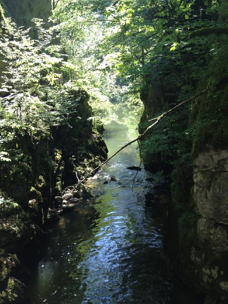 IMG_3560.jpg - Saut de Broc