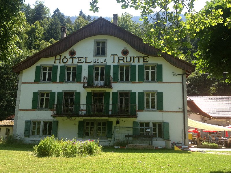 IMG_3564.jpg - Et � midi: Des filets de truites...