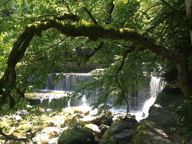 IMG_3569.jpg - L'Areuse