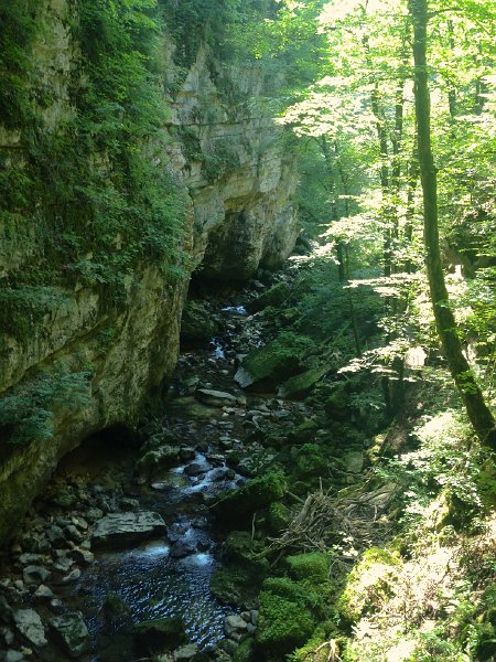 IMG_3580.jpg - L'Areuse