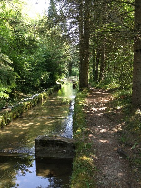 IMG_3623.jpg - Fischzuchtkanal