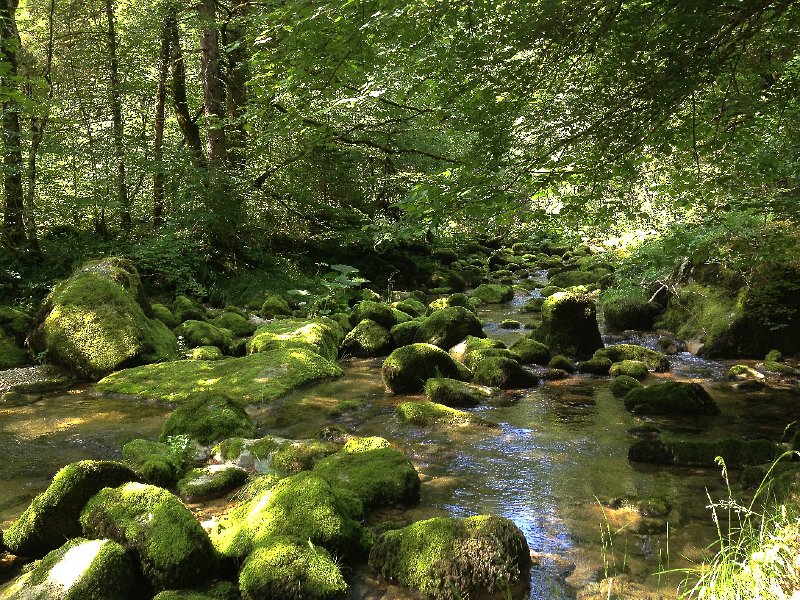 IMG_3624.jpg - wildromantischer Abschnitt