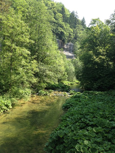 IMG_3627.jpg - Gorges de l'Orbe