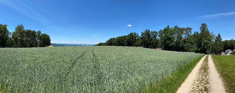 IMG_1366.jpg - Ebnihof