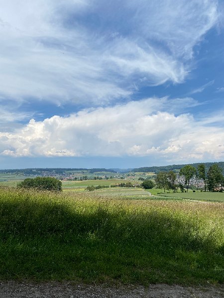 IMG_1393.jpg - Blick zur�ck nach Norden