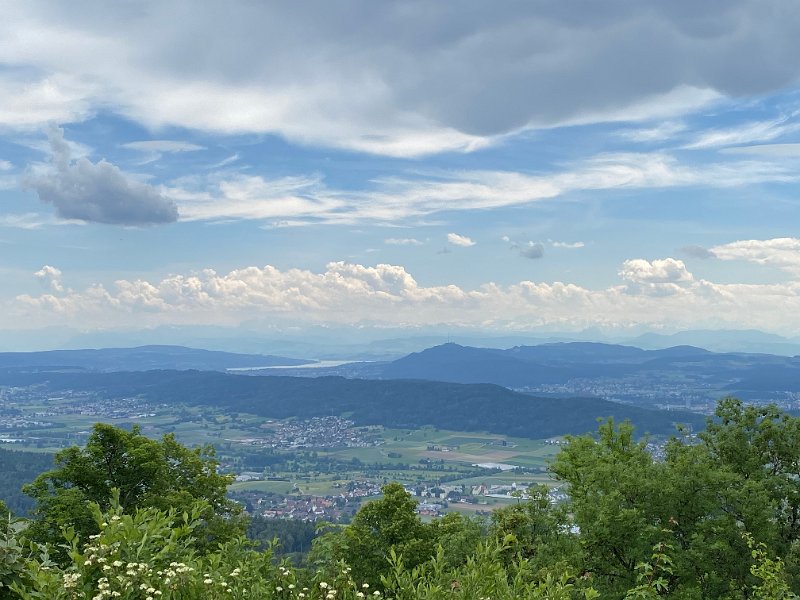 IMG_1396.jpg - Aussicht vom Burghorn zum Z�richsee