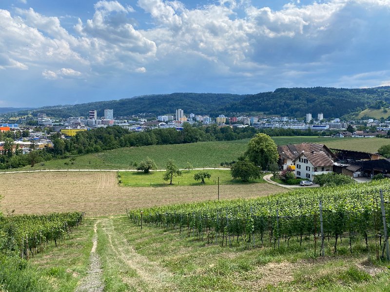 IMG_1410.jpg - Bickgut, dahinter Spreitenbach