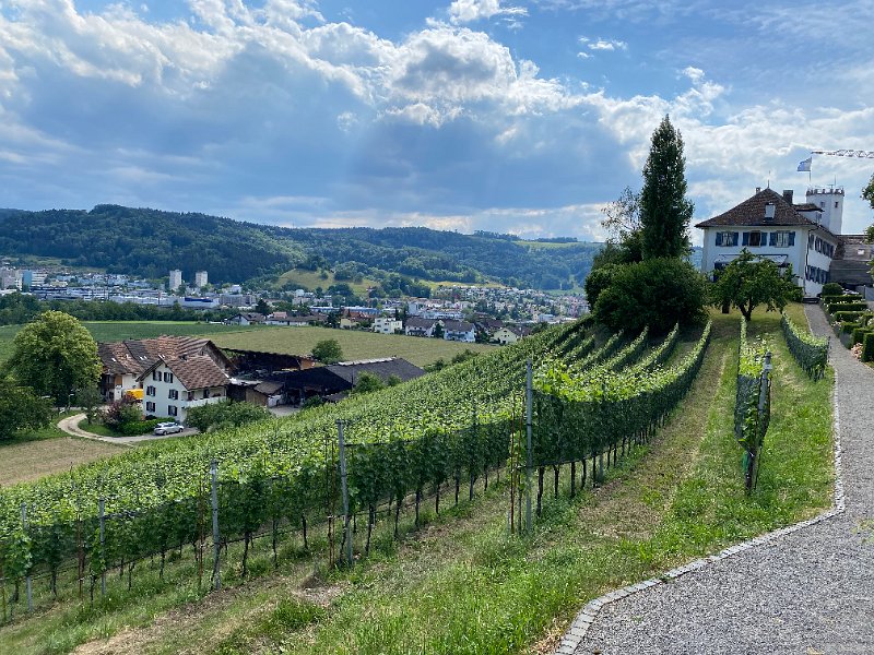 IMG_1411.jpg - Bickgut, im Hintergrund Spreitenbach