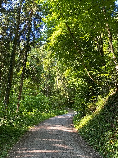 IMG_1232.jpg - Im Aufstieg nach Bergdietikon; 21. Mai 2020