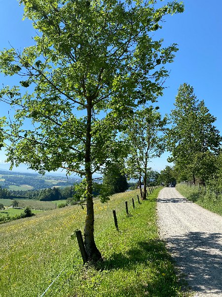 IMG_1242.jpg - Beim Hasenberg