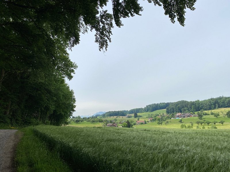 IMG_1301.jpg - Nach Benzenschwil; 22.Mai 2020
