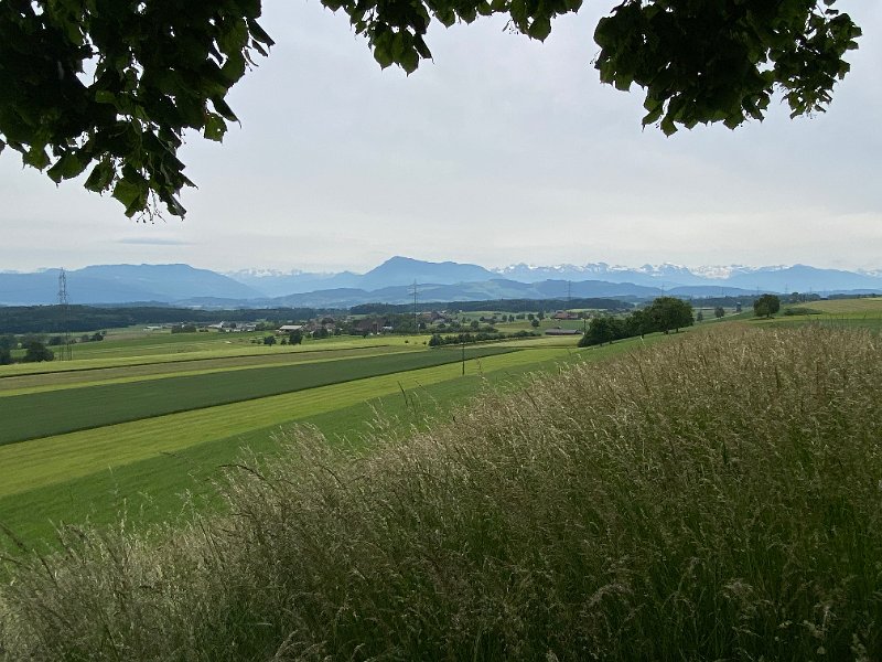 IMG_1319.jpg - Blick nach Aettenschwil