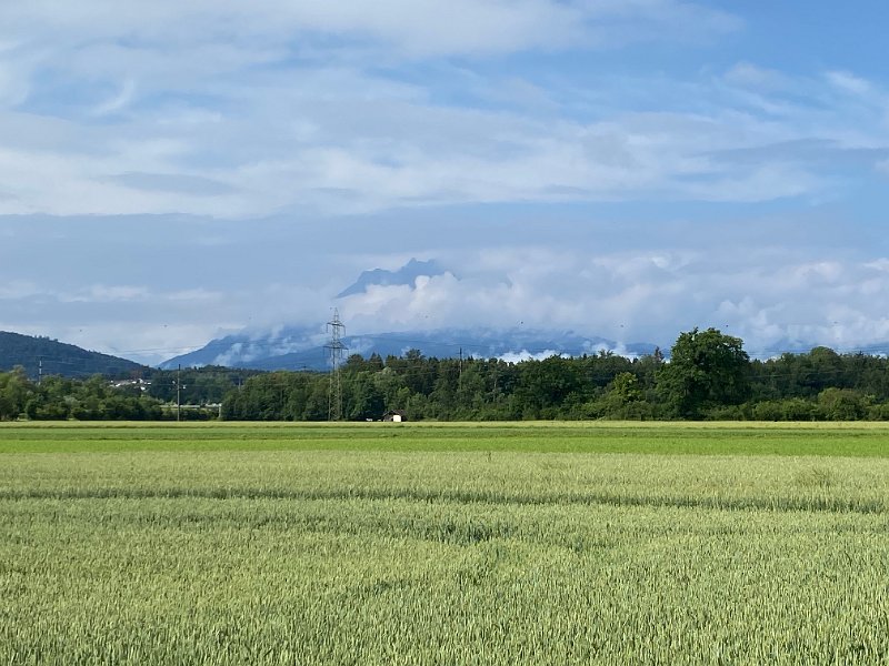 IMG_1444.jpg - Pilatus in den Wolken