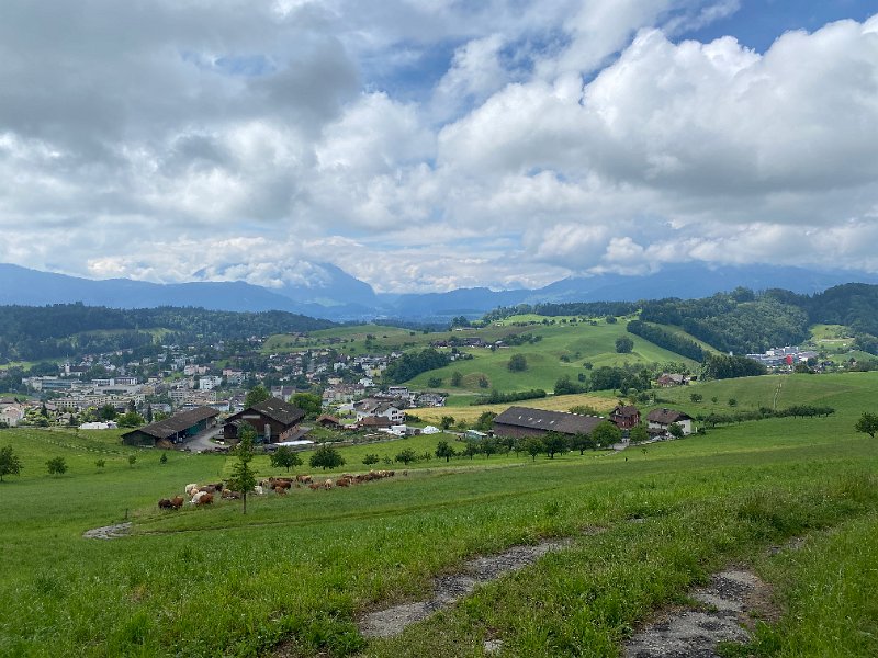 IMG_1458.jpg - Adligenswil