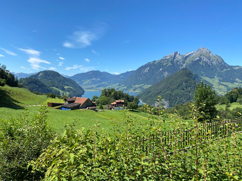 IMG_1539.jpg - Alpnachersee