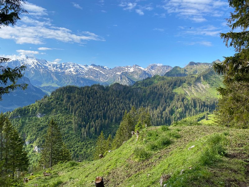 IMG_1583.jpg - Oberalp