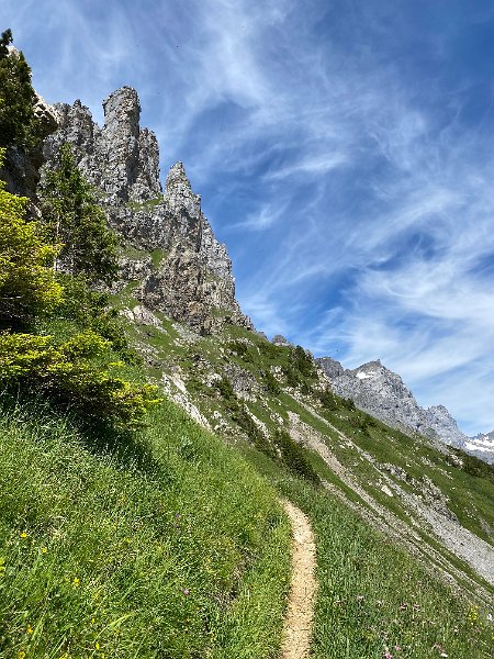 IMG_1793.jpg - Bergpfad
