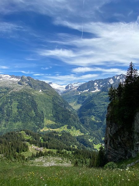 IMG_1794.jpg - Trift