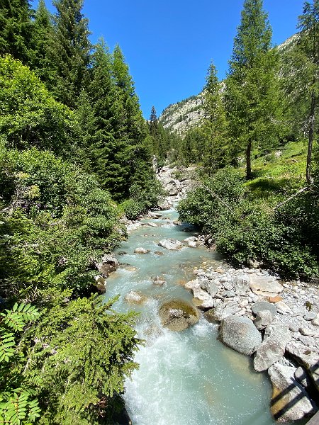 IMG_2117.jpg - Rhone als Wildbach