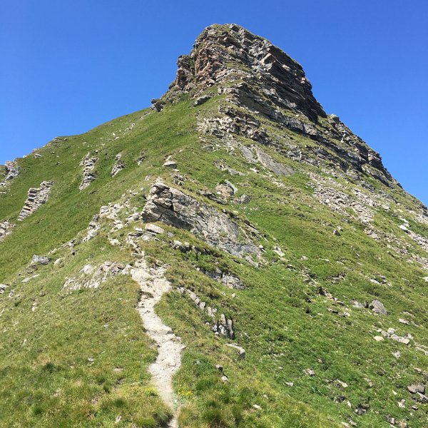 IMG_6243.jpg - Piz Danis, Nordseite