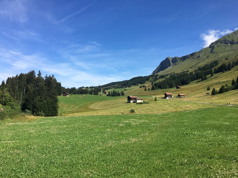 IMG_6165.jpg - Innerberg