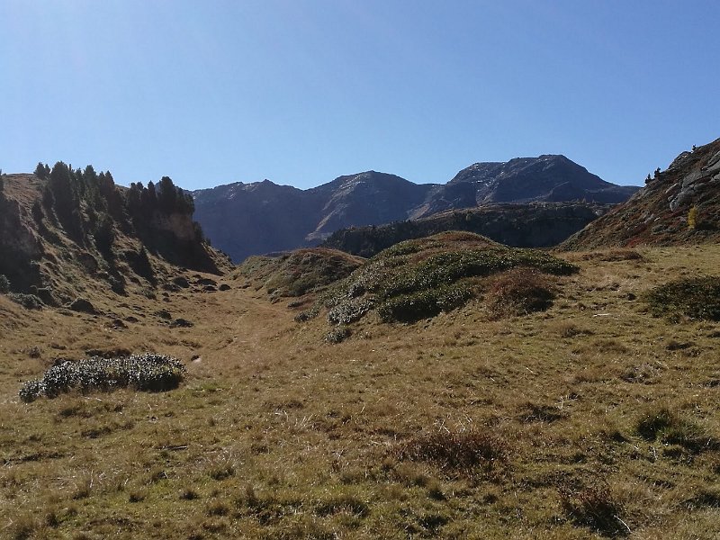 IMG_4419.jpg - Alpe Croce