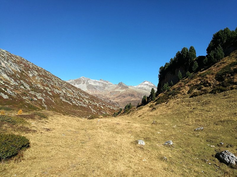 IMG_4428.jpg - Im Hintergrund Piz Lai Blau, Piz Vatgira und Piz Ganaretsch