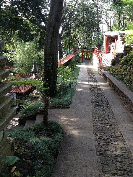 IMG_2859.jpg - Jardim Tropical 