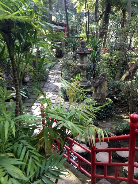 IMG_2861.jpg - Jardim Tropical 