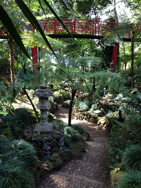 IMG_2862.jpg - Jardim Tropical 