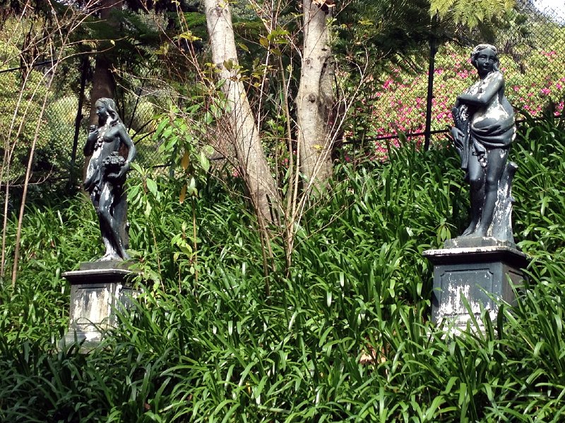 IMG_2873.jpg - Jardim Tropical