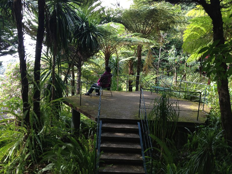 IMG_2874.jpg - Jardim Tropical