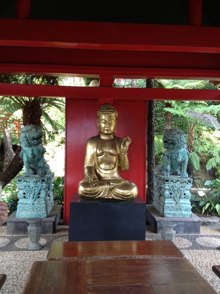 IMG_2875.jpg - Jardim Tropical