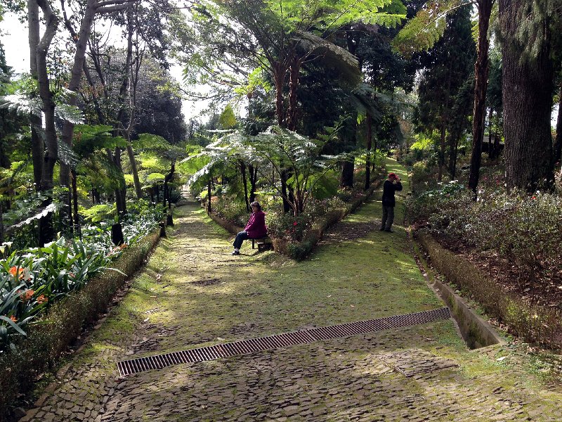 IMG_2887.jpg - Jardim Tropical