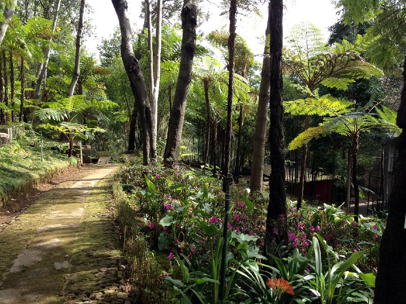 IMG_2888.jpg - Jardim Tropical