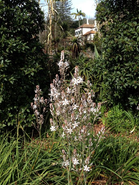 IMG_2893.jpg - Quinta Palheiro Ferreiro