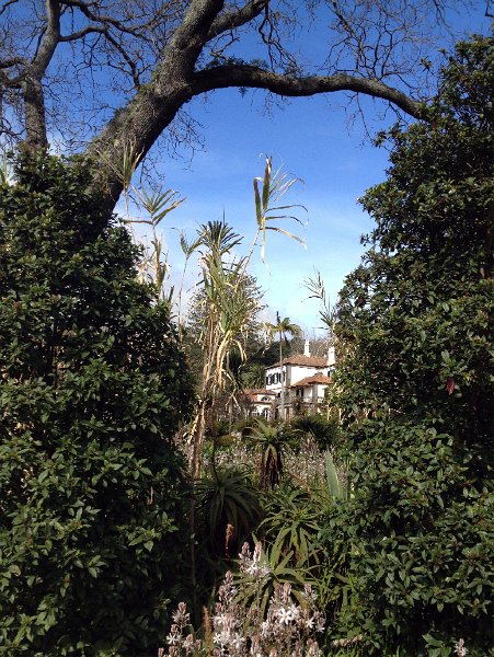 IMG_2894.jpg - Quinta do Palheiro Ferreiro