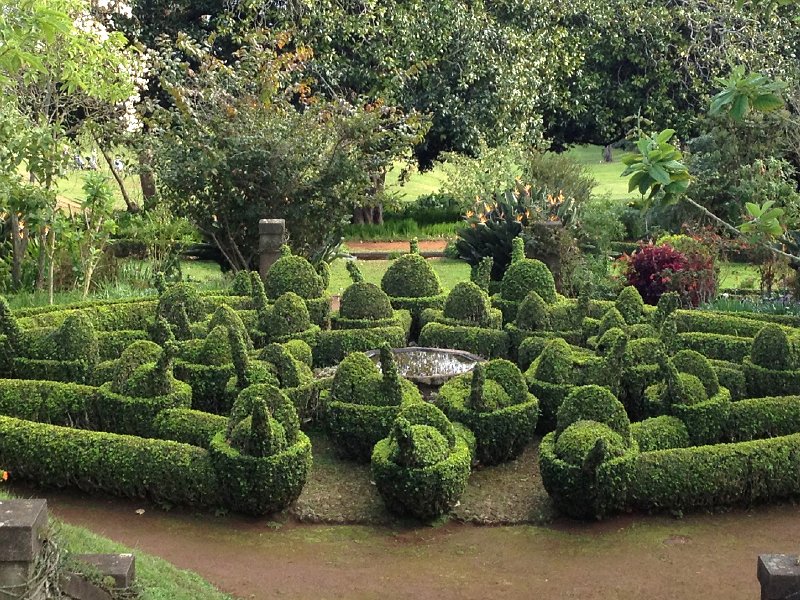 IMG_2898.jpg - H�hnerbrunnen - Blandy's Garden