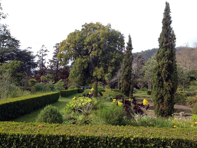 IMG_2905.jpg - Blandy's Garden; Quinta do Palheiro Ferreiro