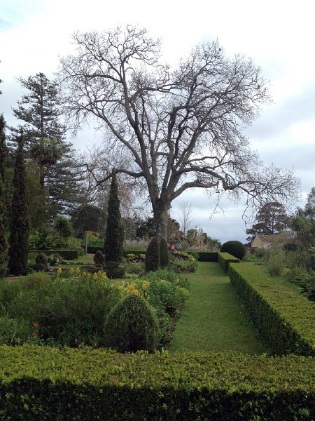 IMG_2909.jpg - Blandy's Garden