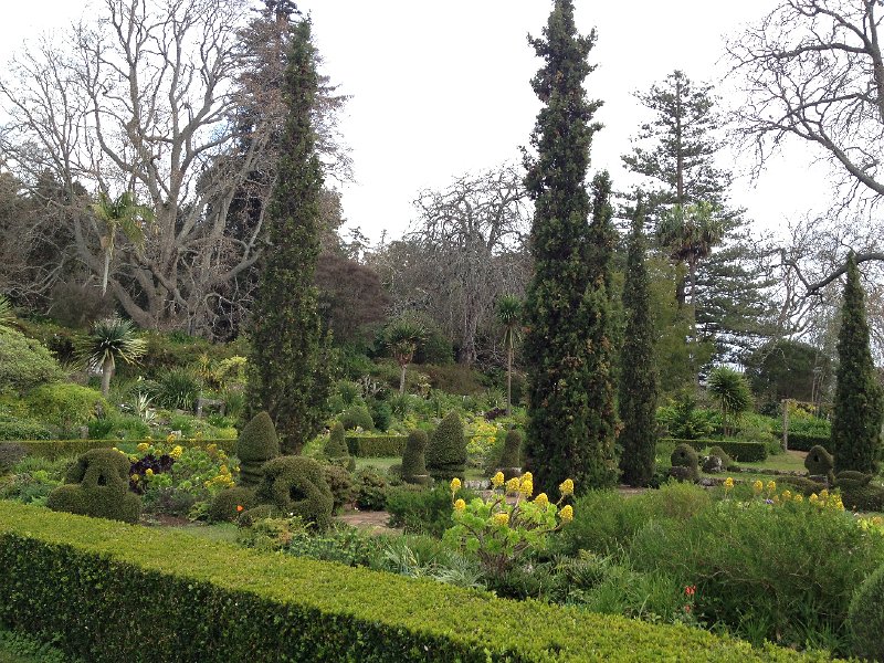 IMG_2910.jpg - Blandy's Garden, Palheiro Ferreiro