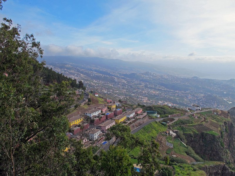 IMG_8561.JPG -                                Funchal