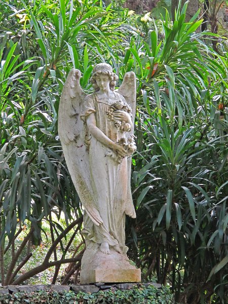 IMG_8599.jpg -                                im Jardin Tropical