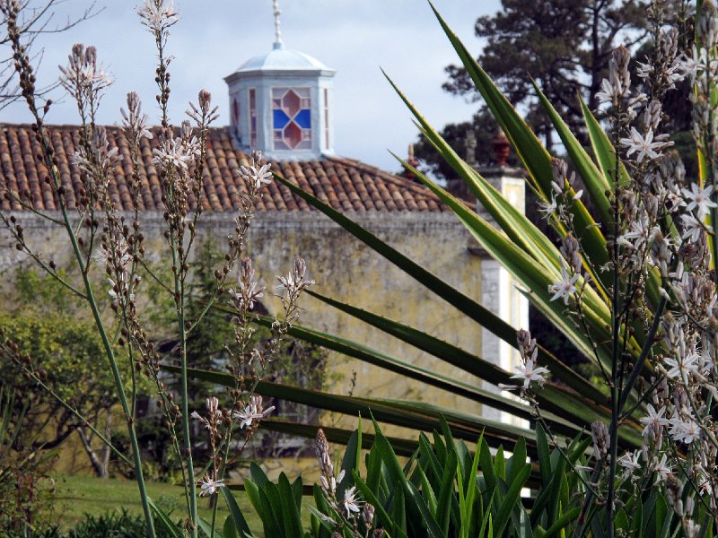 IMG_8725.JPG -                                Blandy's Garden, Palheiro Ferreiro