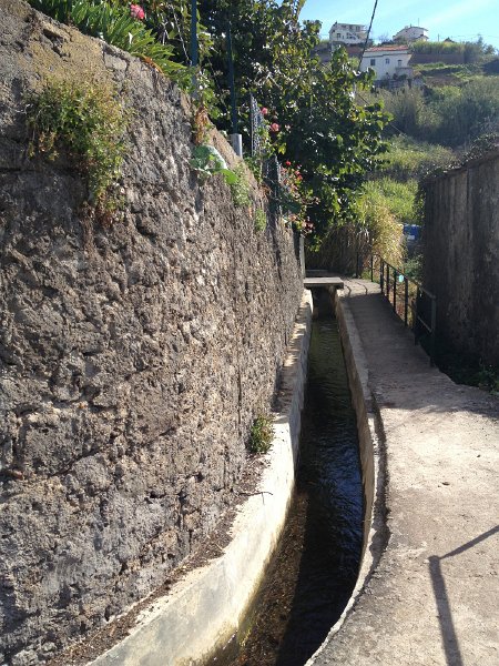 IMG_2995.jpg - Levada Nova