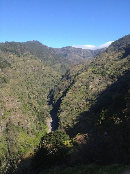 IMG_2996.jpg - Die beiden Levadas am rechten Hang