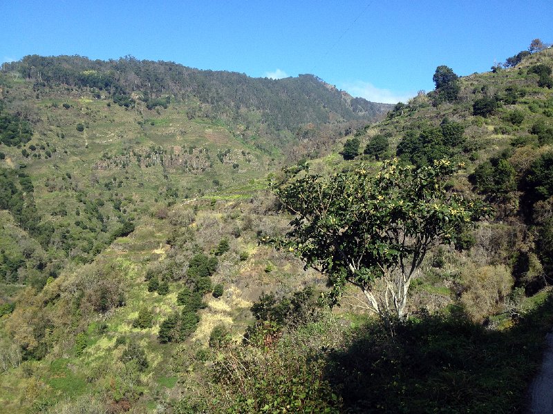 IMG_2999.jpg - Lombo das Ter�as, Lombo das Torres